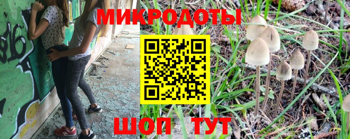 Туапсе  Псилоцибиновые грибы Psilocybine cubensis  Вход с VPN 