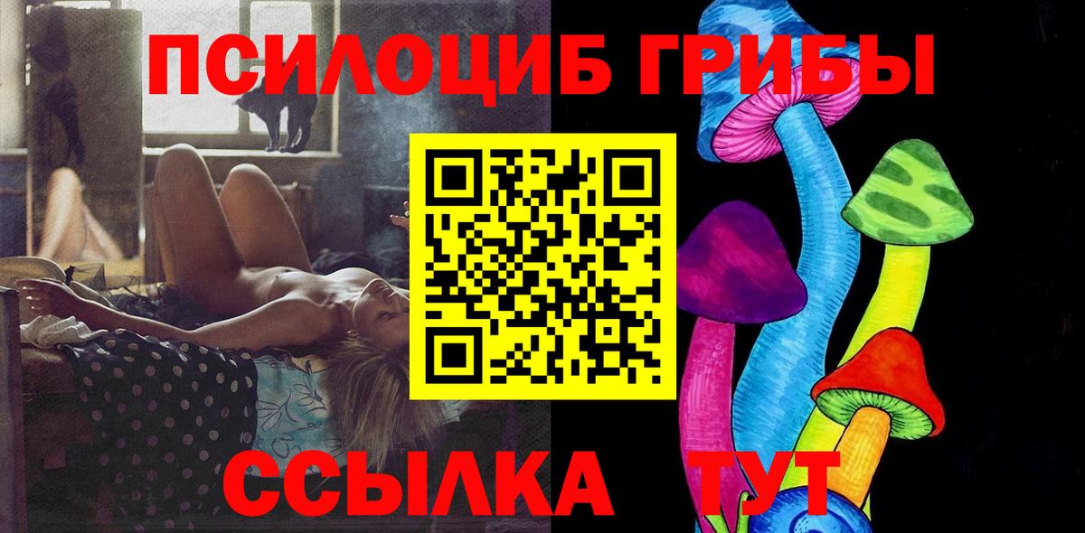 Галлюциногенные грибы Psilocybe Туапсе